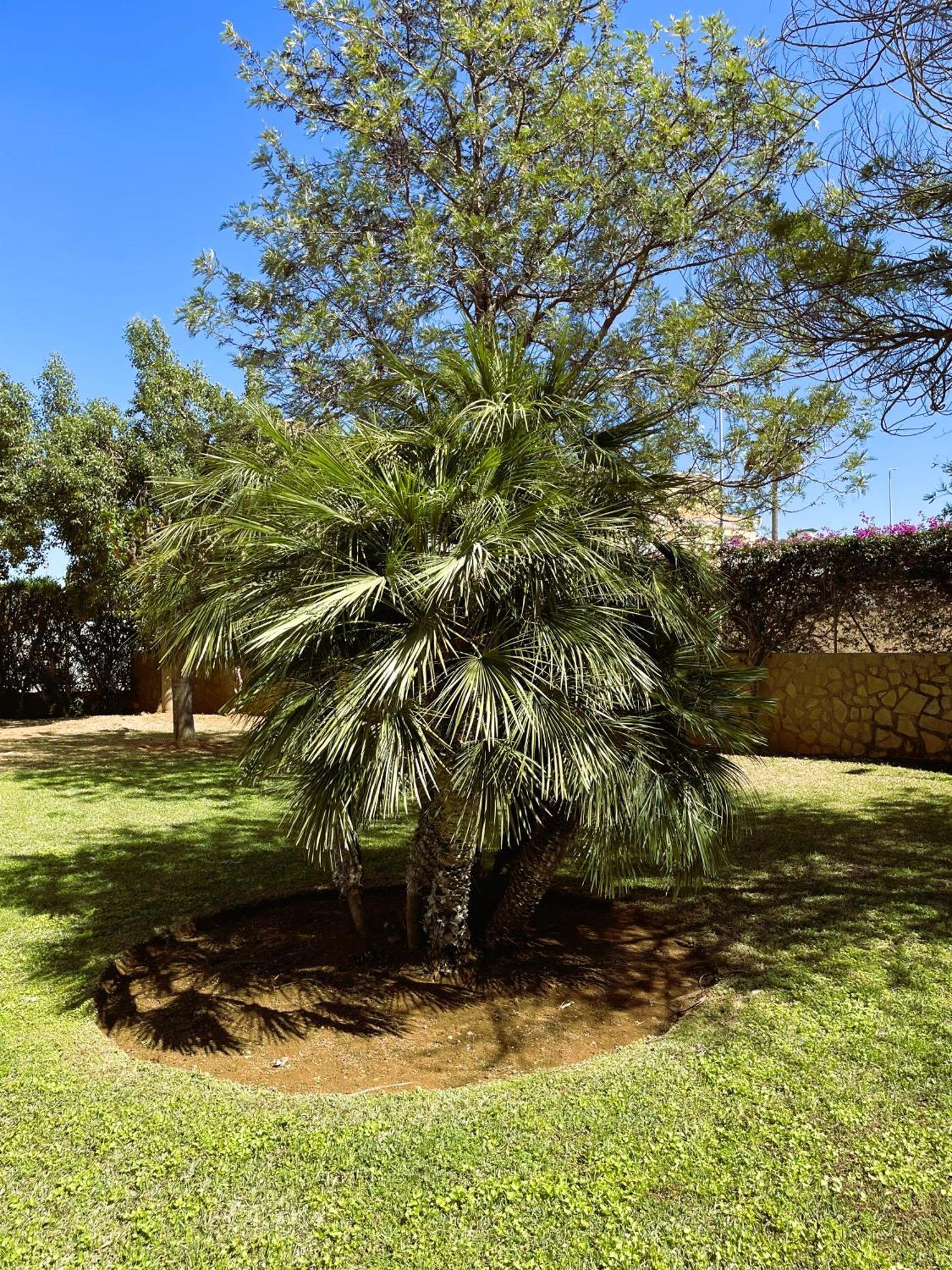 דירות דניה El Casa Kama מראה חיצוני תמונה
