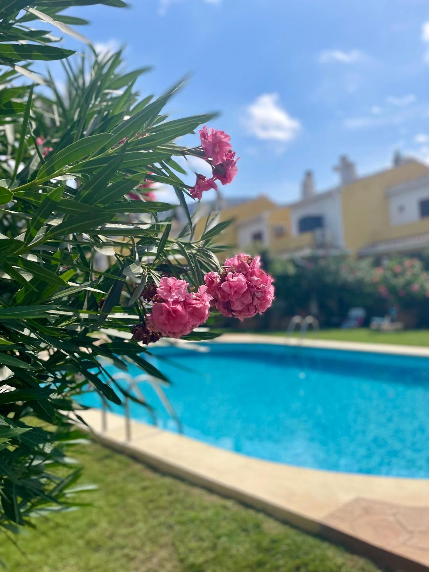 דירות דניה El Casa Kama מראה חיצוני תמונה
